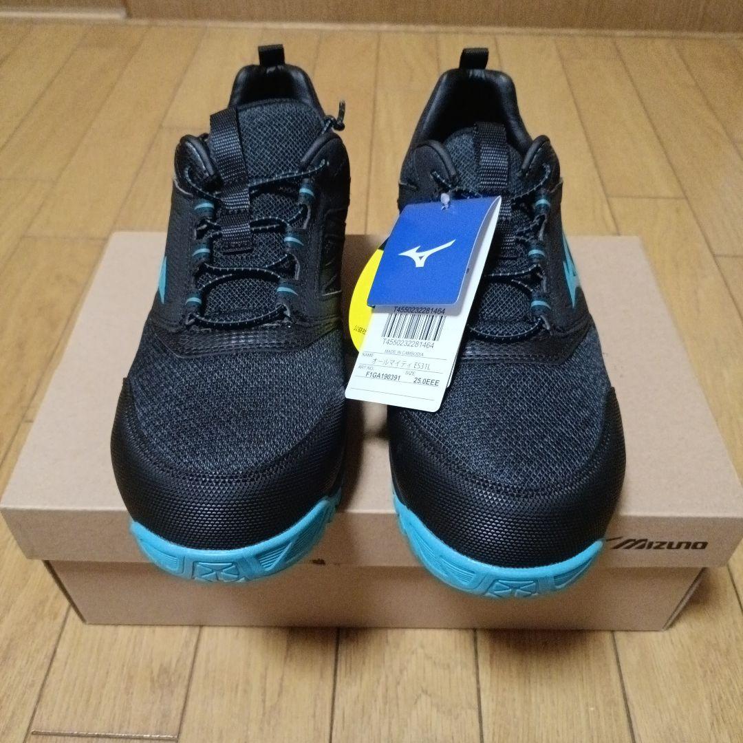 【新品未使用品】Mizuno 安全靴25.0cm Almighty ES31L