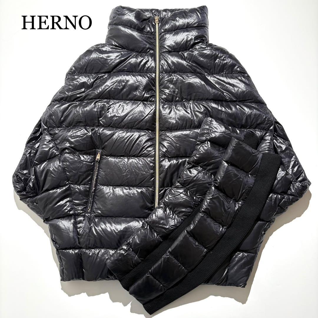 【アームカバー付☆美品】HERNO ダウンジャケット PI0518D 黒 42