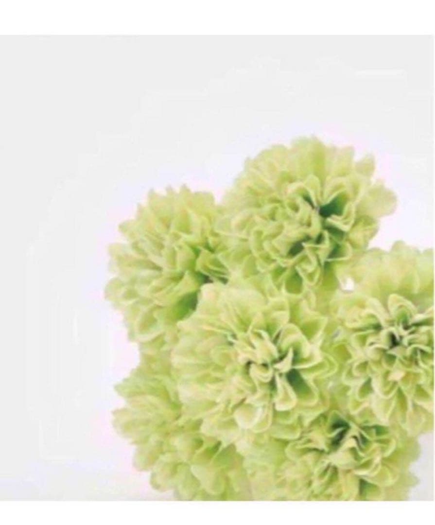 美容液 MUU R ロンドGINZAwithミラボーテ CMCアミノシルキー集中ミルク美容液|正規