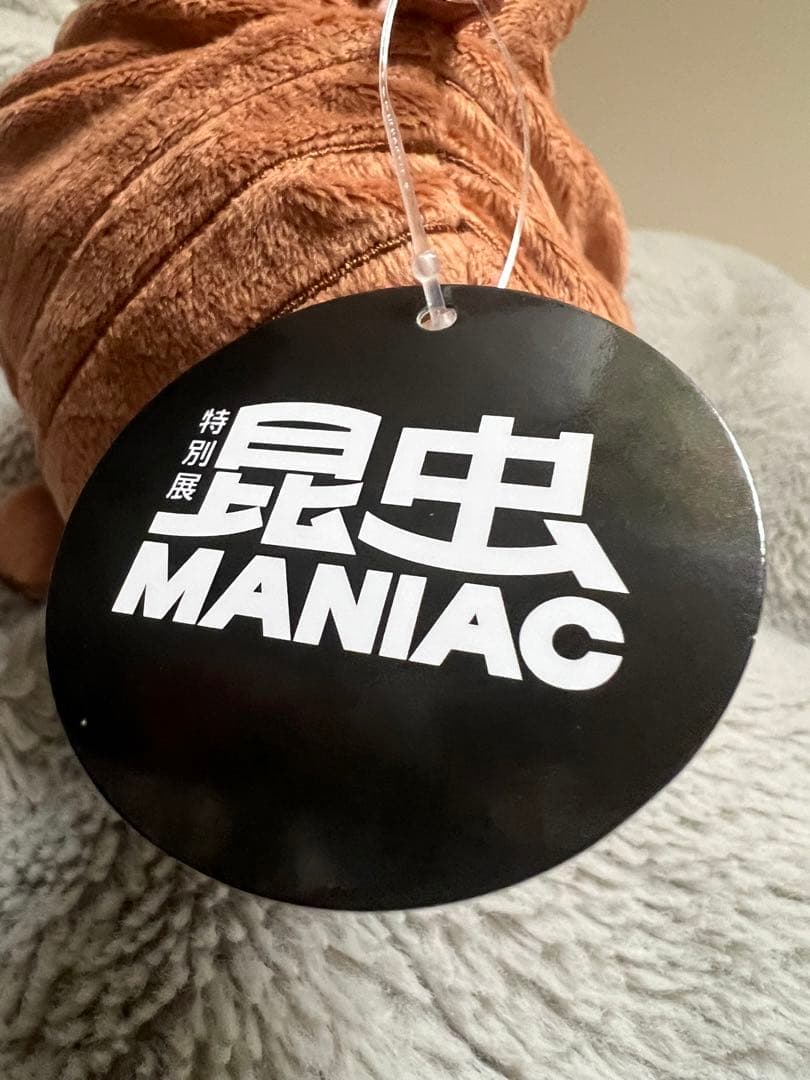 昆虫MANIAC マニアック セミの抜け殻からセミ ぬいぐるみ 科学博物館