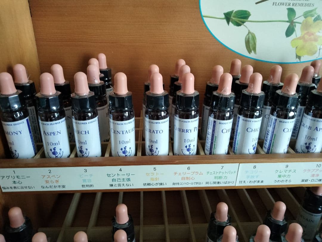 mattya様 クラブアップル エルム ゲンチアナ ミムラス マスタード