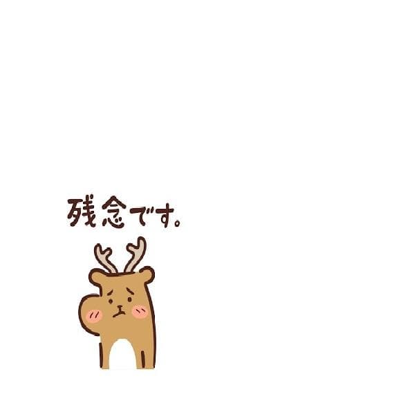 GUCCI チタンフレーム メガネフレーム 度なし 日本製