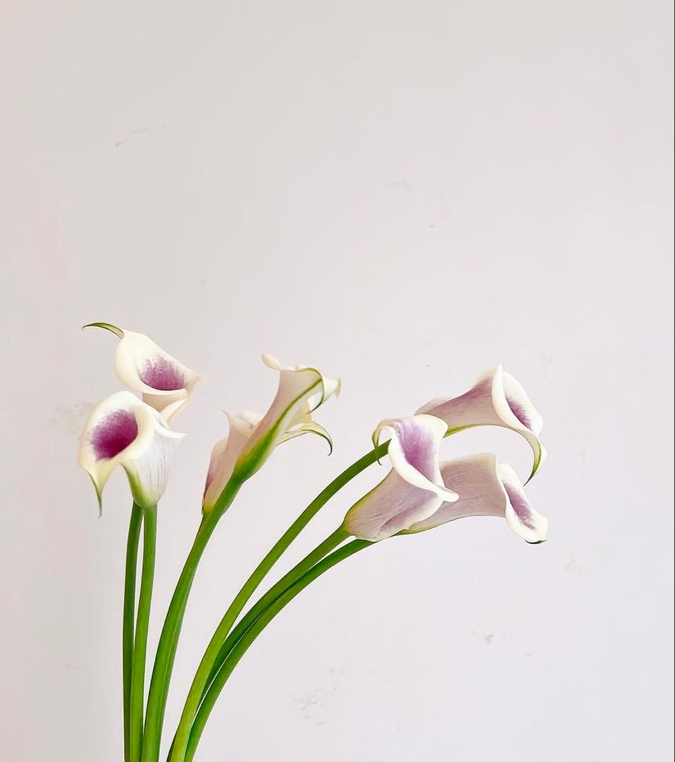 まんちゃんです Kamen Rider Zeztz Case21 Case21 溢れる