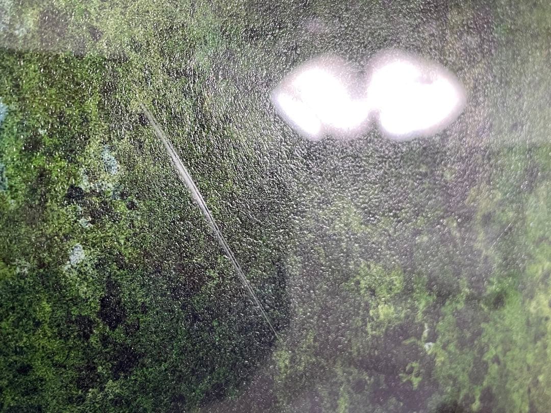 トレンツ・リャド【デフラ】リトグラフ 娘サイン入り - メルカリ