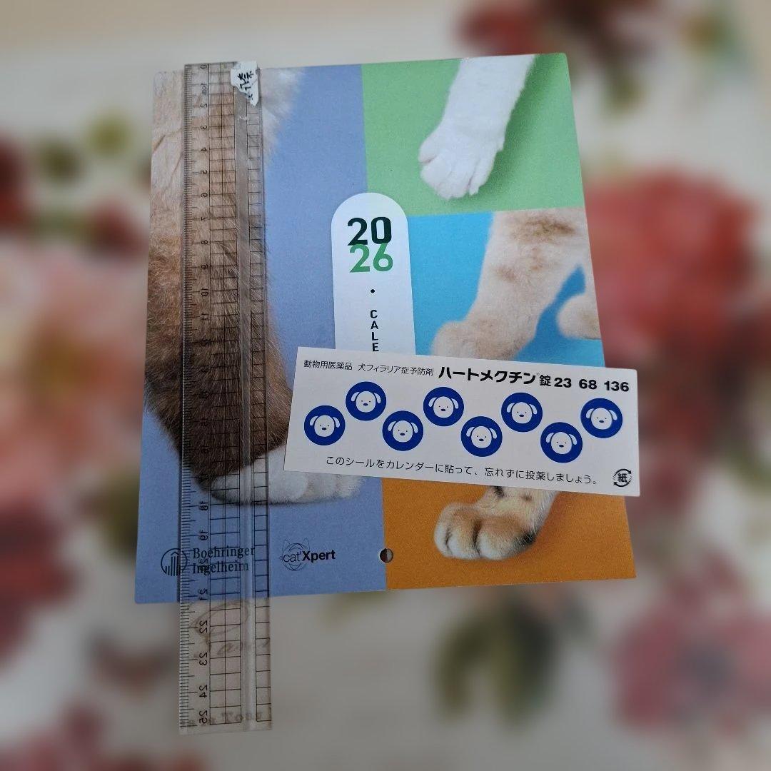 しろ様 リクエスト 2点 まとめ商品 - メルカリ