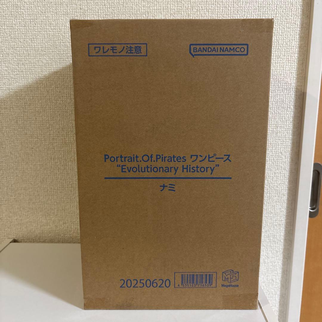 Evolutionary History ナミ 未開封 フィギュア プレバン限定