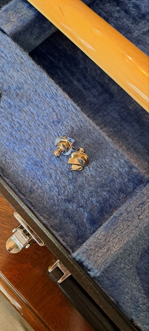 masaya.専用フェルナンデス MGサイケデリック ハードケースセット