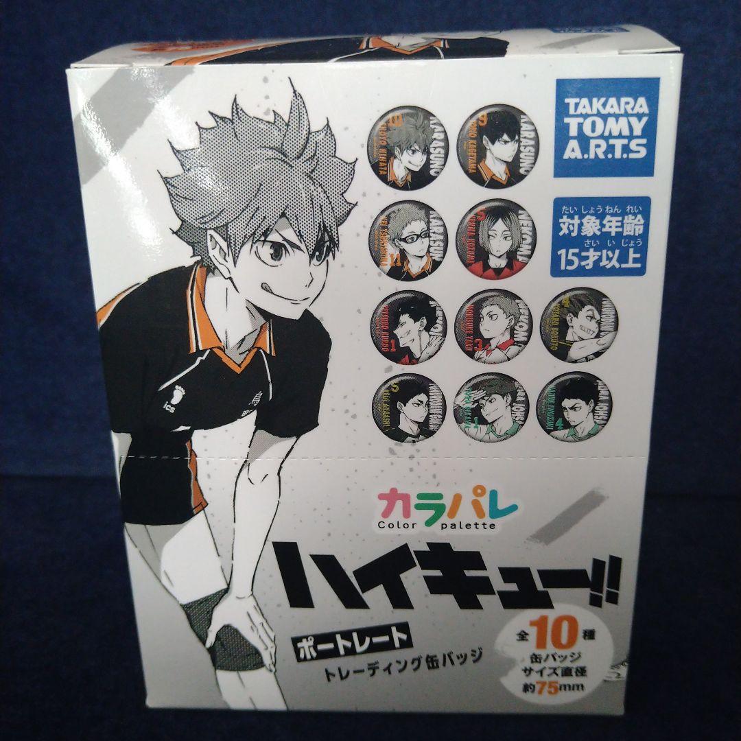 ハイキュー 缶バッジ 全10種　ポートレート　カラパレ　BOX