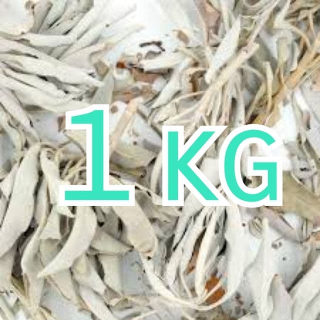 激安価格☆無農薬ホワイトセージ枝付きクラスター1KGお香浄化業務用価額
