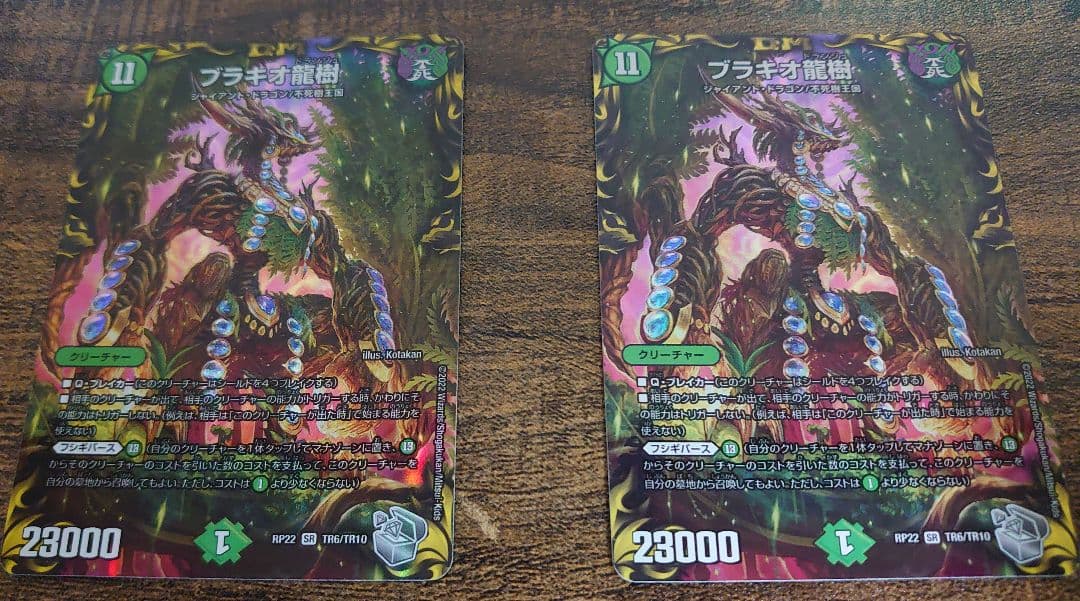 ブラキオ龍樹＋大樹王 ギガンディノダス