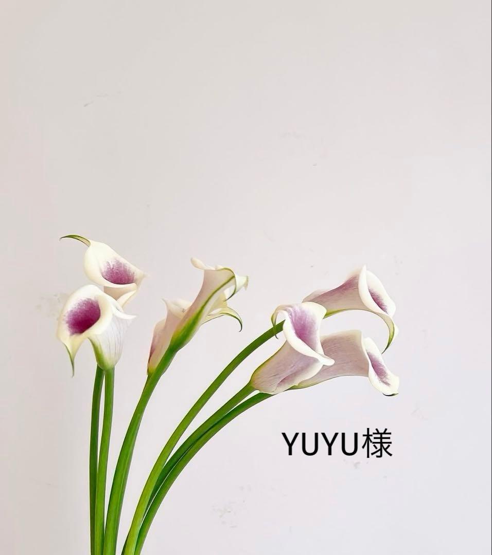 YUYU品