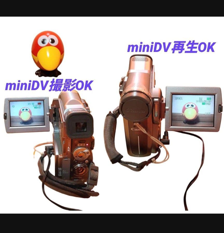 動作◎】キャノン IXY DV M2 miniDVカメラ デジタルビデオカメラ