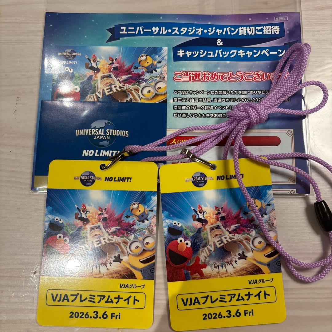3/6 ユニバーサルスタジオジャパン 貸切ナイト 招待チケット2枚 貸切