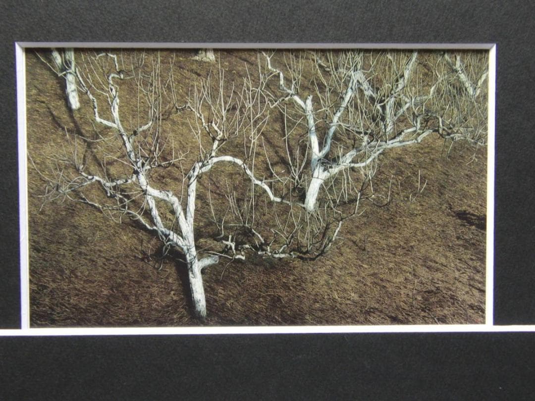 原雅幸、冬の柿、希少な画集より、新品高級額・額装付、状態良好