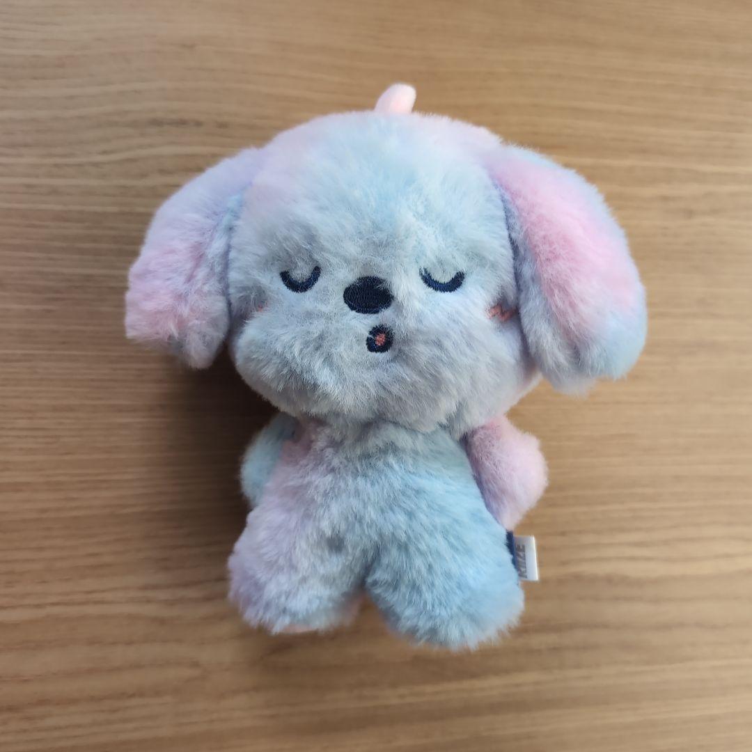 RIIZE アントン ぬいぐるみ モンリョンイ midnight mirage - メルカリ