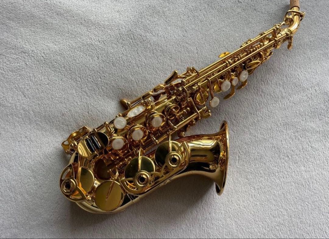 【今月限定新品】カーブドソプラノサックス 唯一無二の音色！動画あり・豪華特典つき