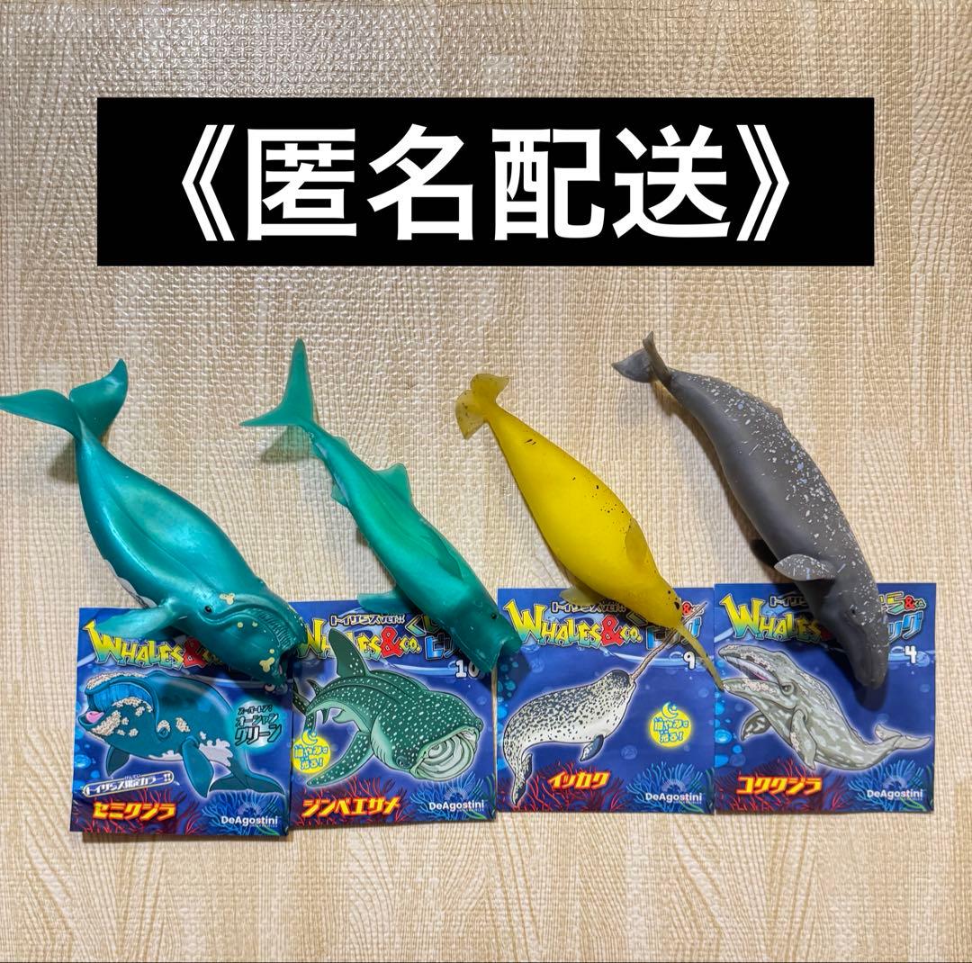 くじら&co まとめ売り アンドコ デアゴスティーニ - メルカリ