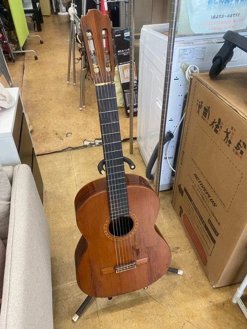 アストリアス　 アコースティックギター　STANDARD 現状