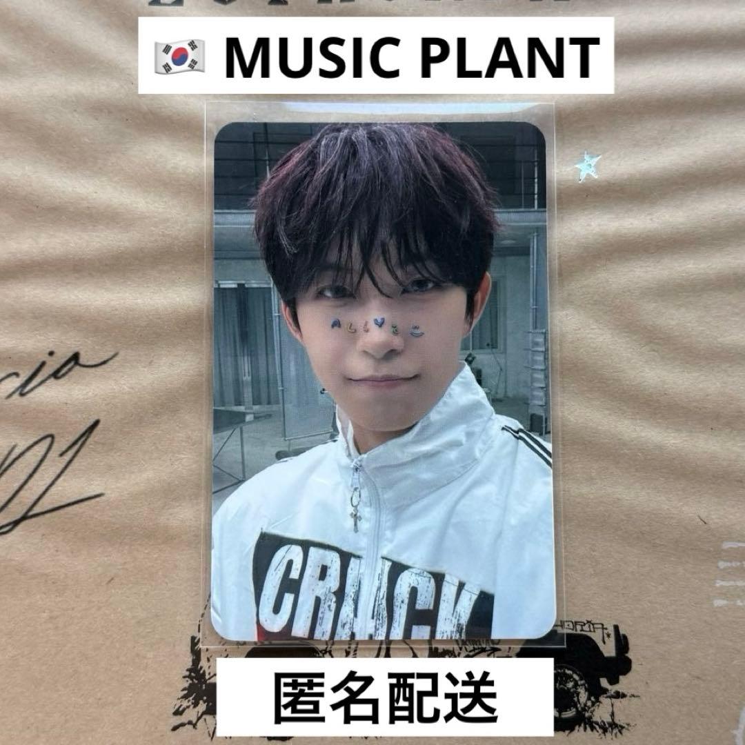 ALD1 EUPHORIA ゴヌ ミュープラ 特典トレカ