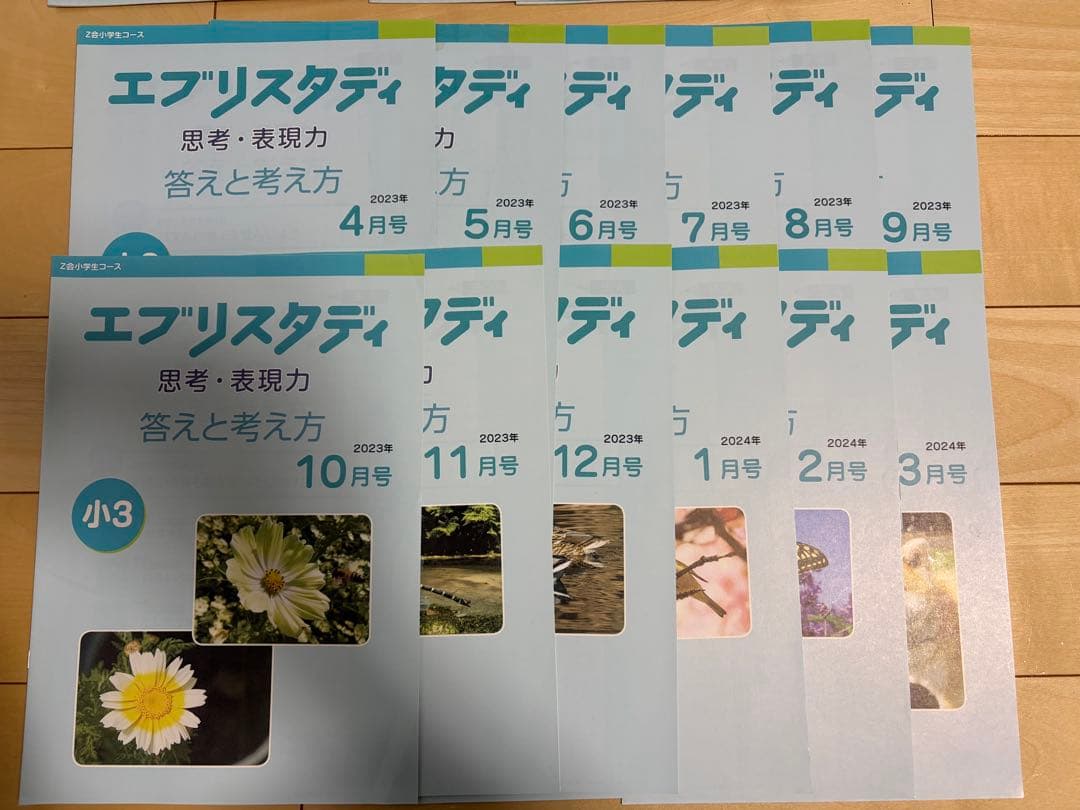 エブリスタディ 小3 思考・表現力 1年分 2023年度 Z会 /中学受験