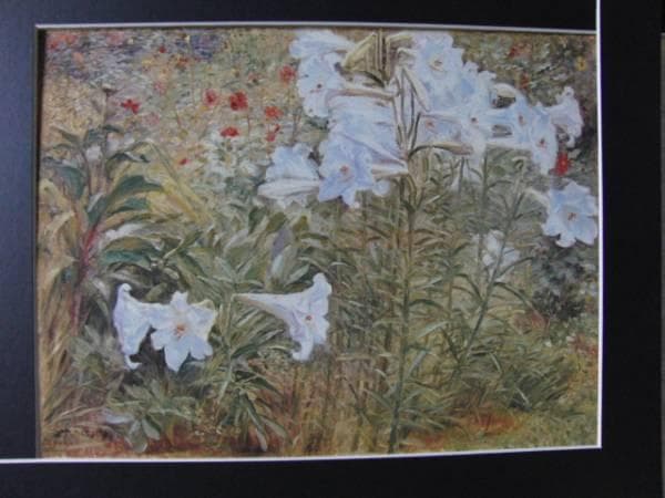 黒田 清輝、鉄砲百合、希少画集画、新品額装付