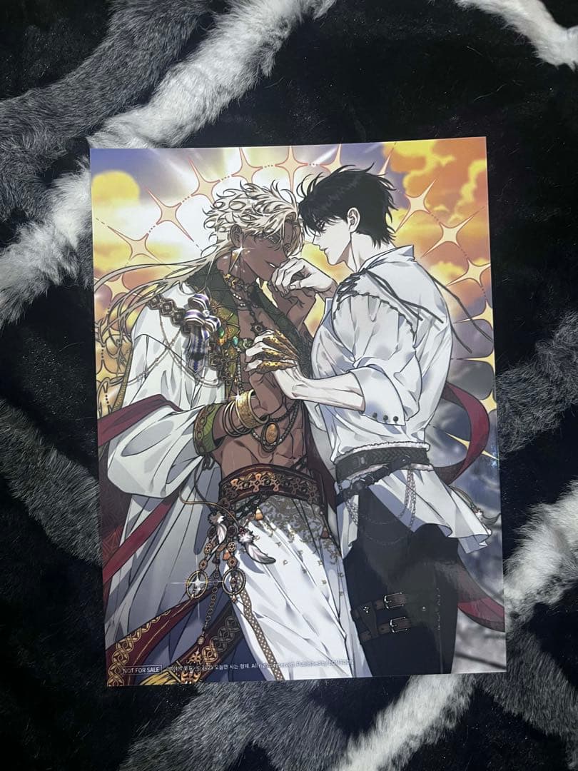 韓国BL Blossoms of the White Night 白夜の花道 - メルカリ