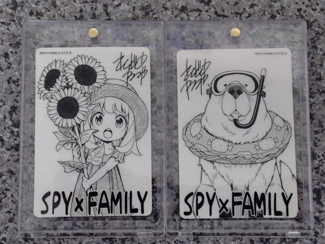 PSA10 鑑定向け 未鑑定 素体 アーニャ 遠藤先生描き下ろしイラスト