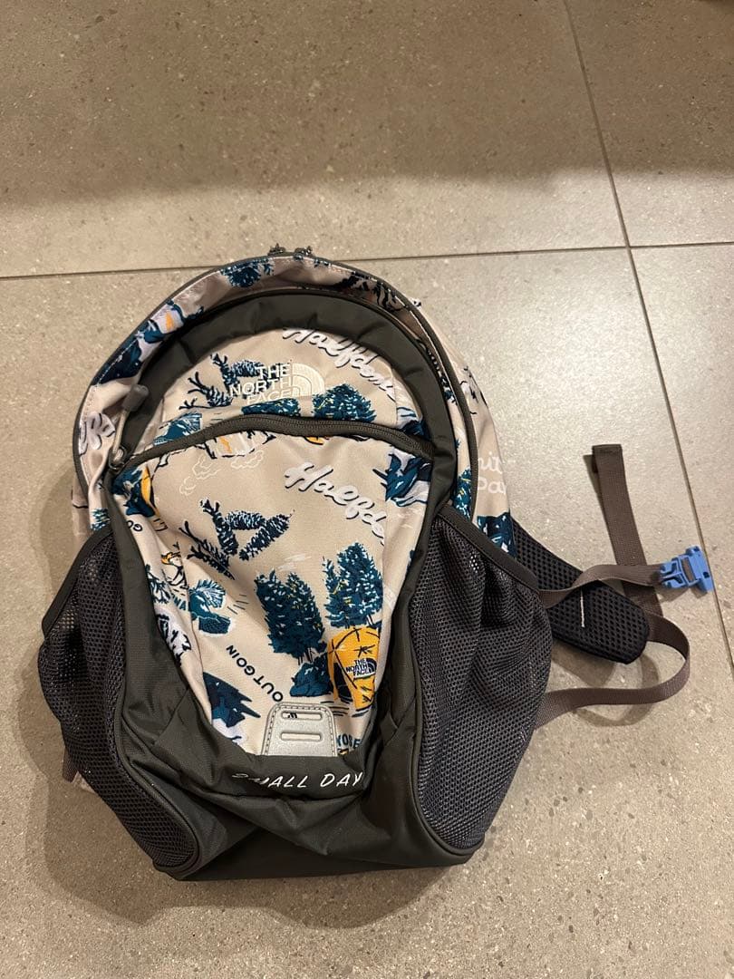 THE NORTH FACE 自然デザイン リュック