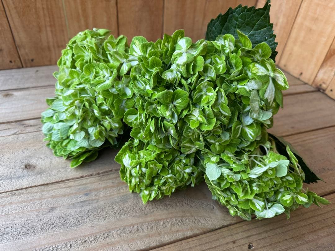 39❤︎1/7まで発送不可様 リクエスト 7点 まとめ商品