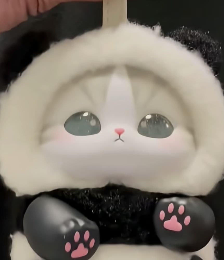 ピラフ 塗装代のみ