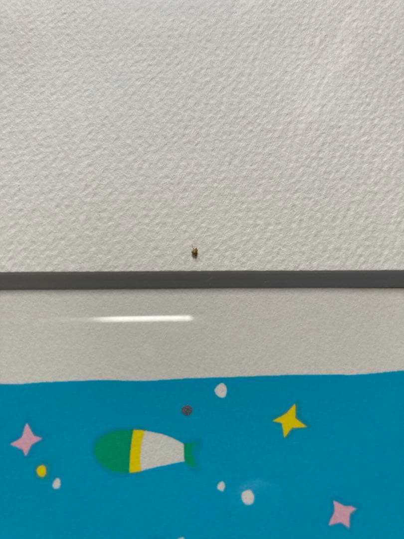 お値引き うたうくじら シルクスクリーン 安斎嘉子 版画 - メルカリ