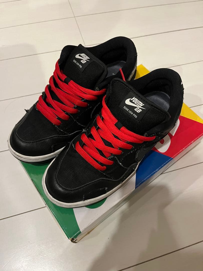 Wasted Youth × Nike SB Dunk Low 27㎝