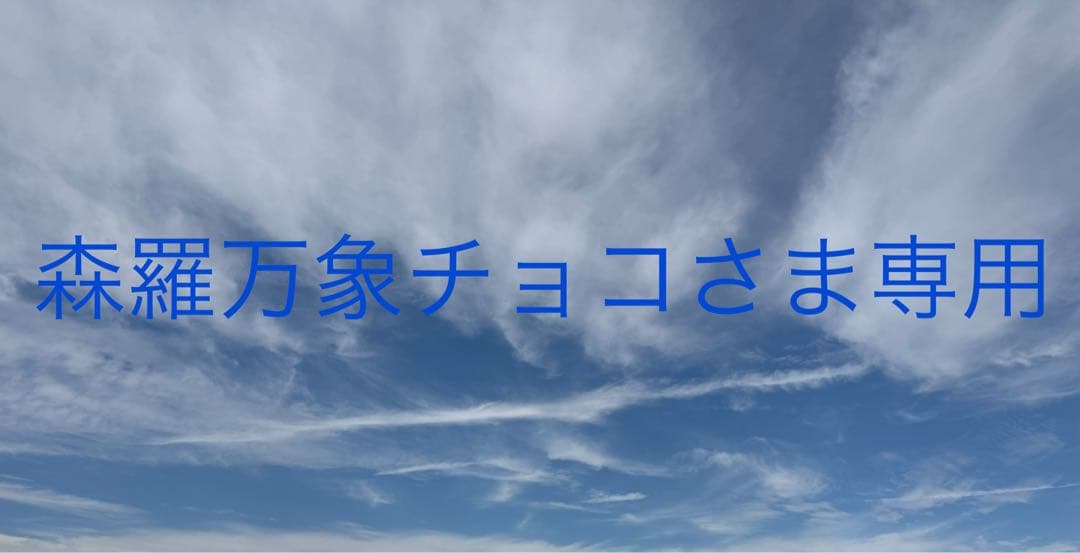 CHANEL ボストンバッグ ノベルティ　旅行バッグ　ナイロン製