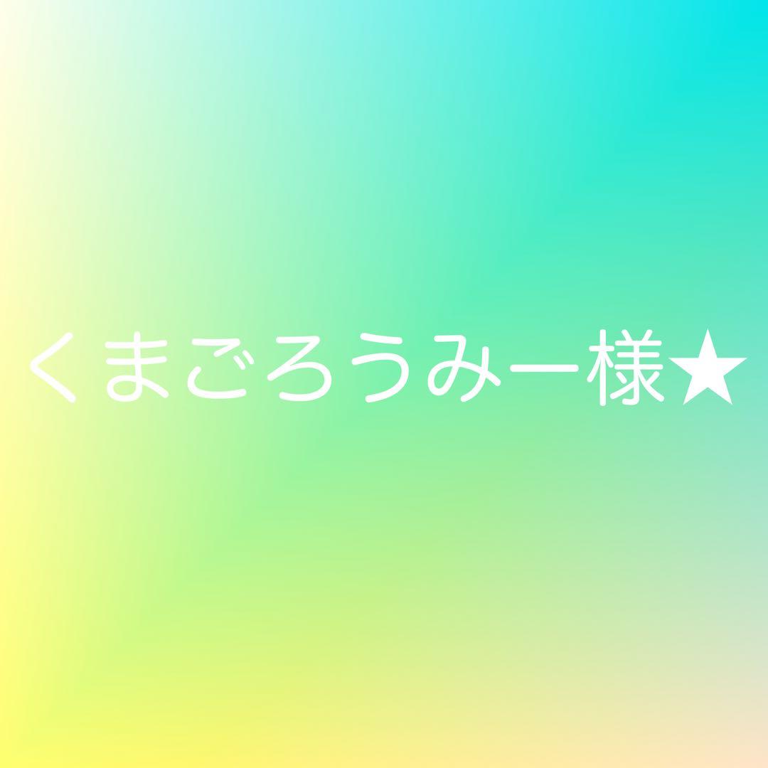 くまごろうみー様★けんせいetcセット品