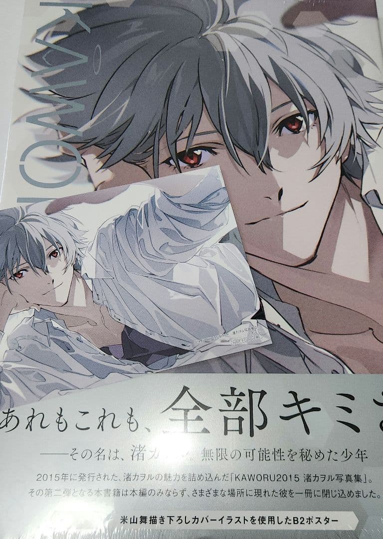 KAWORU INFINITY∞ 渚カヲル写真集2 とらのあな特典カード付き - メルカリ