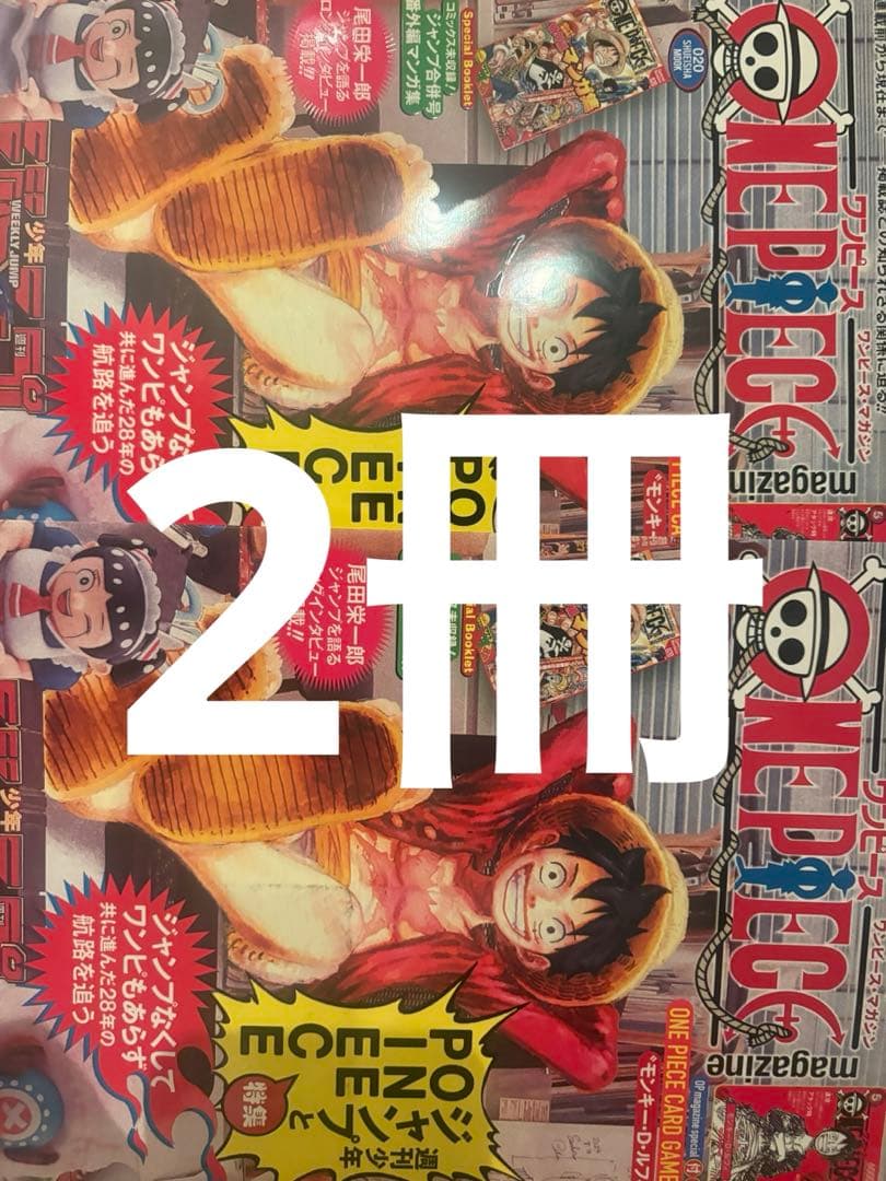 ONE PIECE magazine ワンピースマガジン20号 2冊