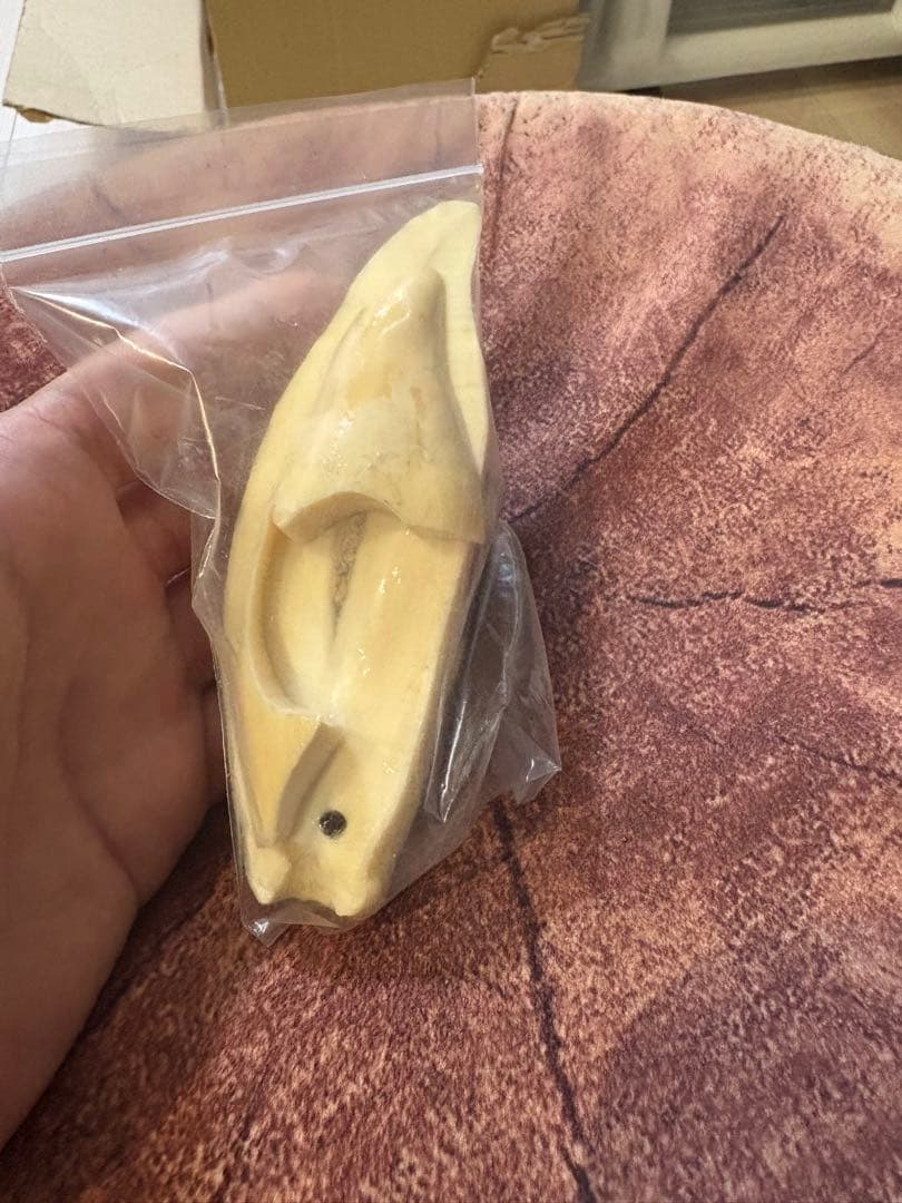 激レア材！シャチの歯 シャチの歯の写真素材 [64710773] - PIXTA