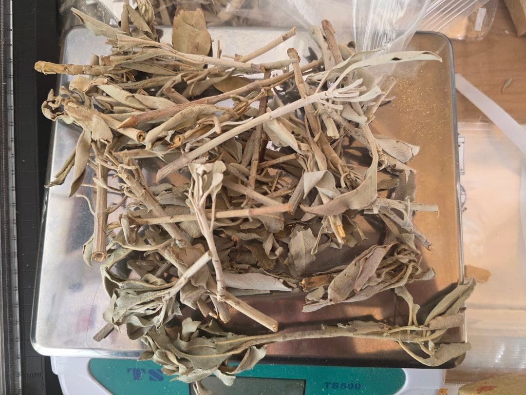 激安価格☆無農薬アウトレットホワイトセージリーフクラスター1KG箱入り業務用価額