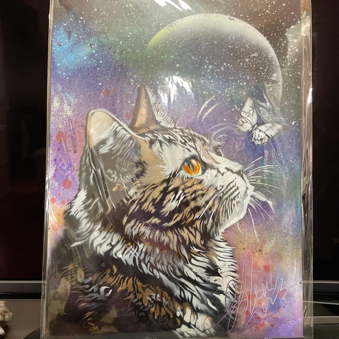 スプレーアートエデンB4原画紙 猫 - メルカリ