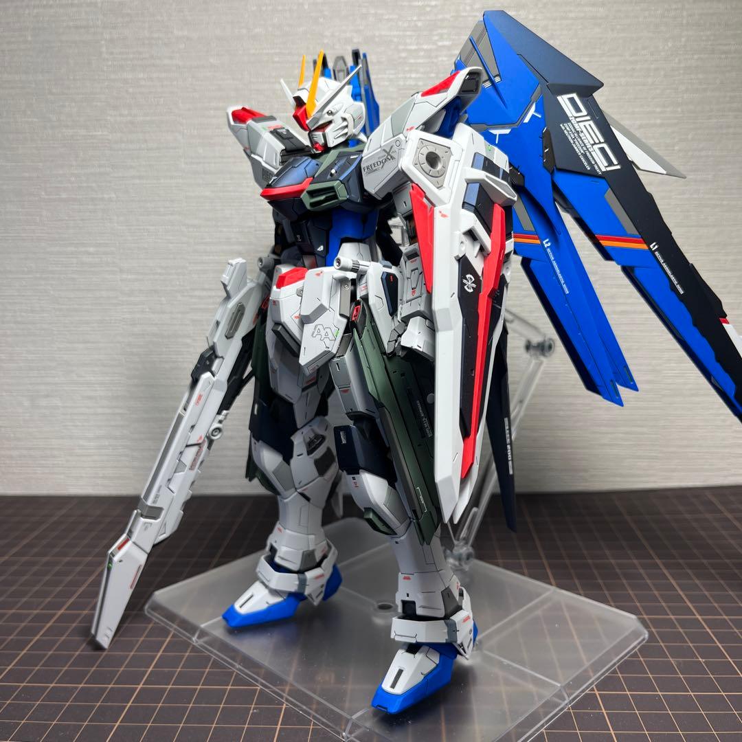フリーダムガンダム MG