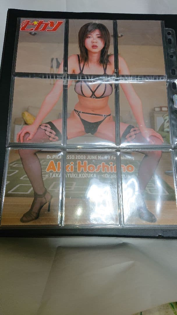 (美品希少レア)Dr.ピカソ9枚組トレカ ほしのあき