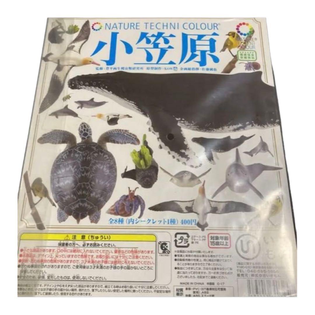 midshiprunabout 小笠原8種コンプリート