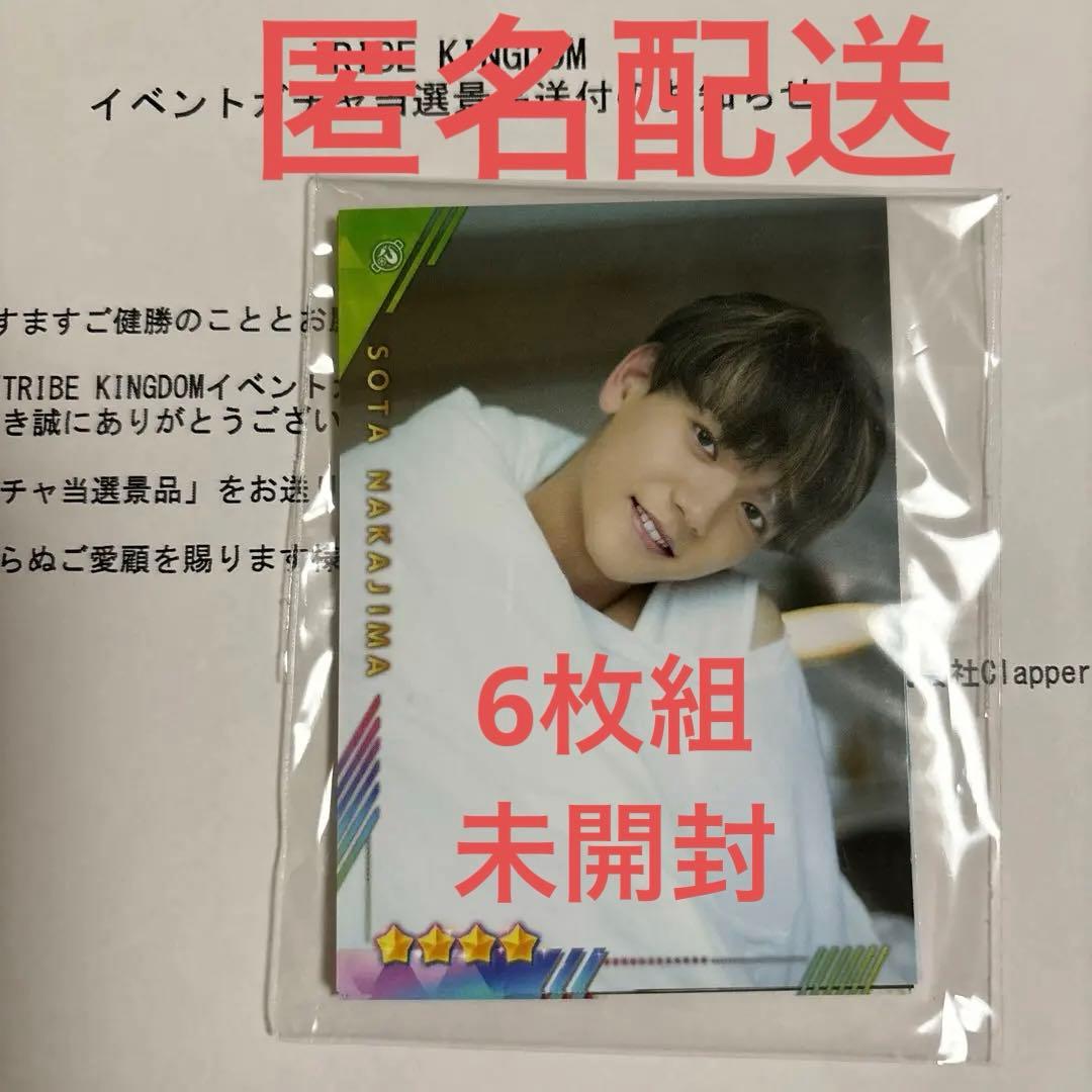 FANTASTICS 中島颯太　そた本　トライブキングダム　リアルカード