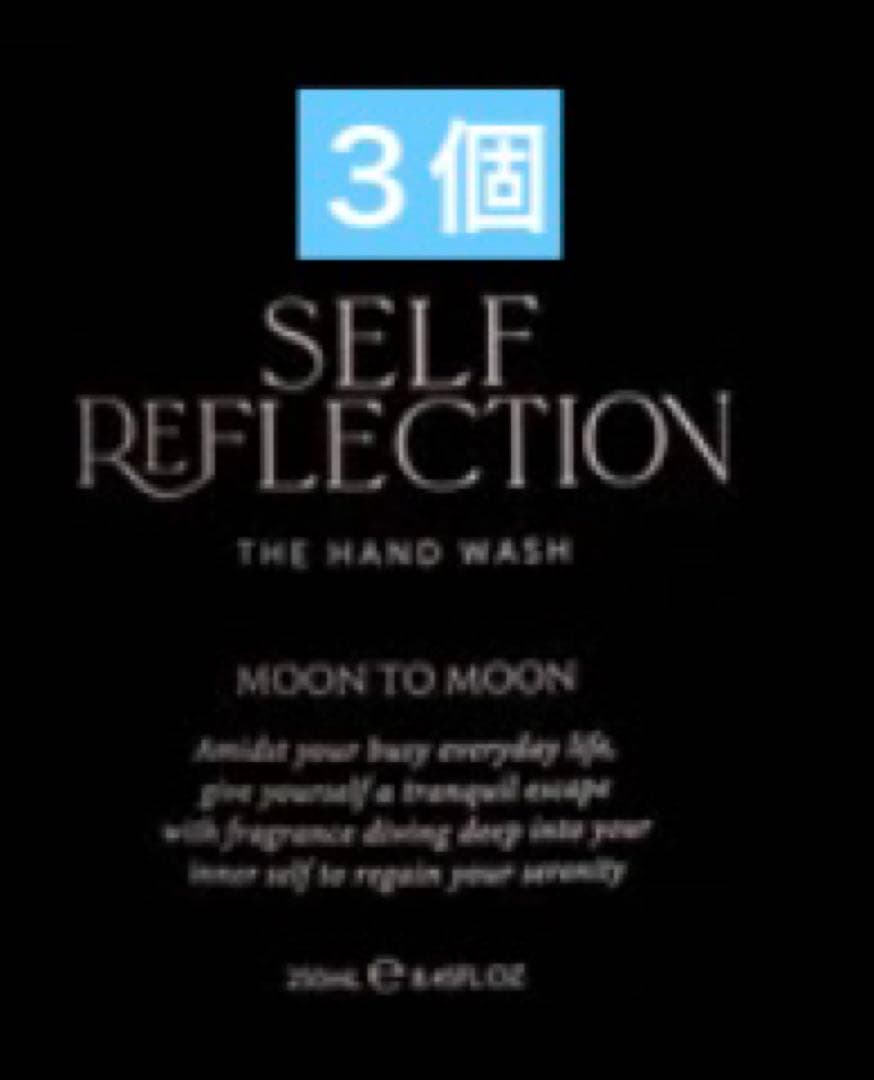 SELF REFLECTION ザハンドウォシュ ベール オブ スモーク 楽天市場】「ポイント10倍 3月4日20時〜6日」SELF REFLECTION ザ