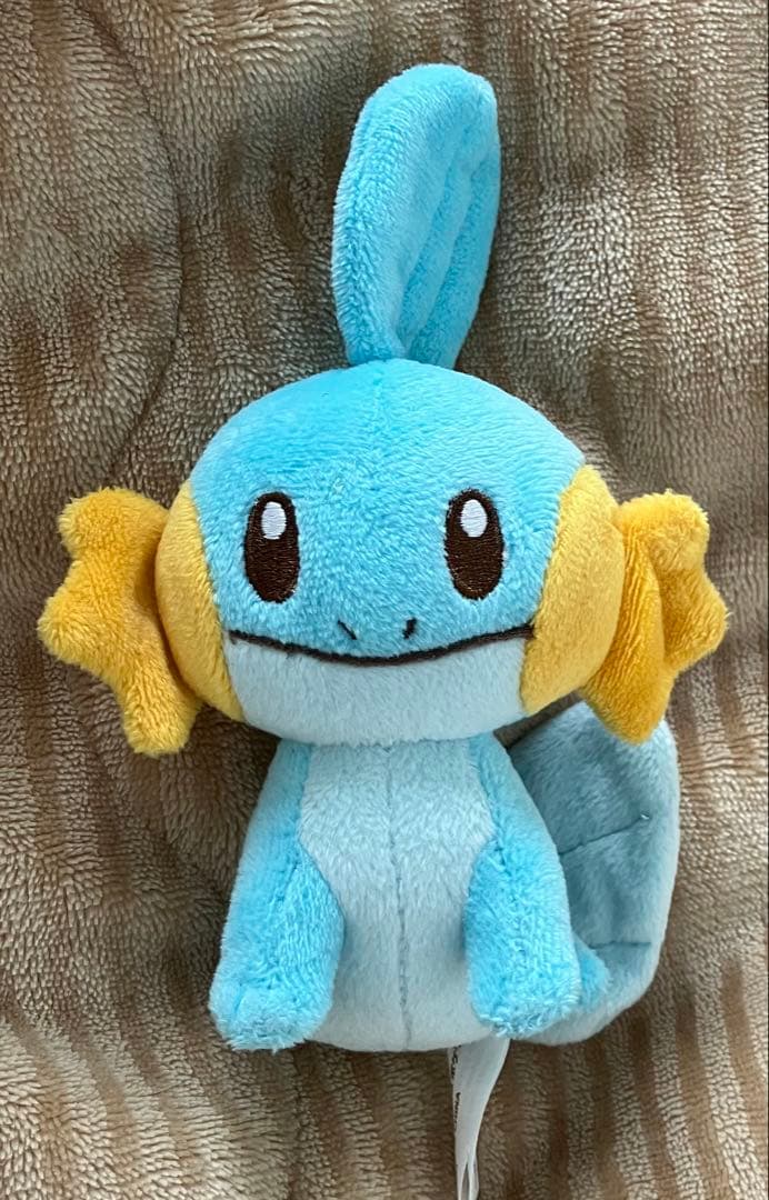 ポケモンキャンバス ミズゴロウ ぬいぐるみ マスコット