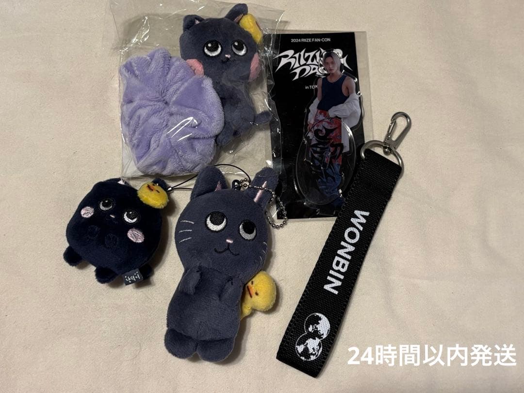 RIIZEウォンビン　グッズセット　シュシュ、ぬいぐるみアクスタペンライトキー