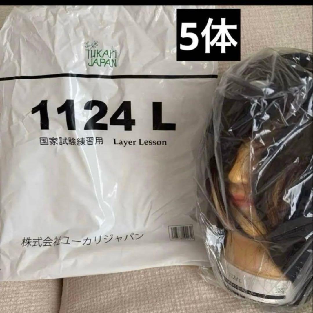 国家試験練習用ウィッグ 5体 ユーカリ1124L - メルカリ