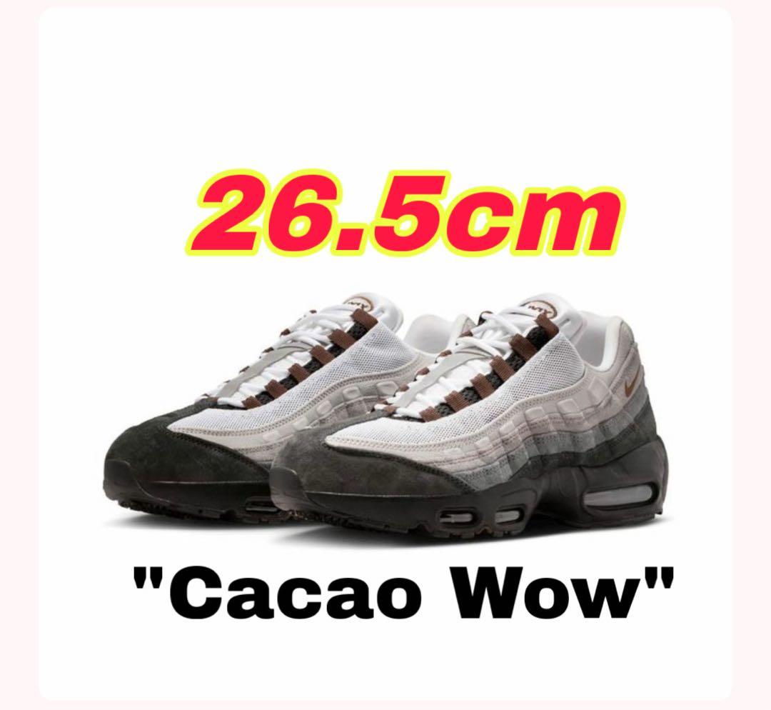 靴 Nike SB Air Max 95 \