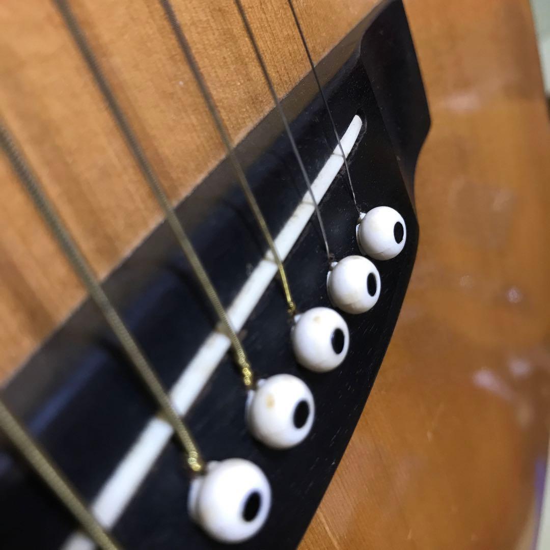 Greco アコースティックギター 6弦 - メルカリ