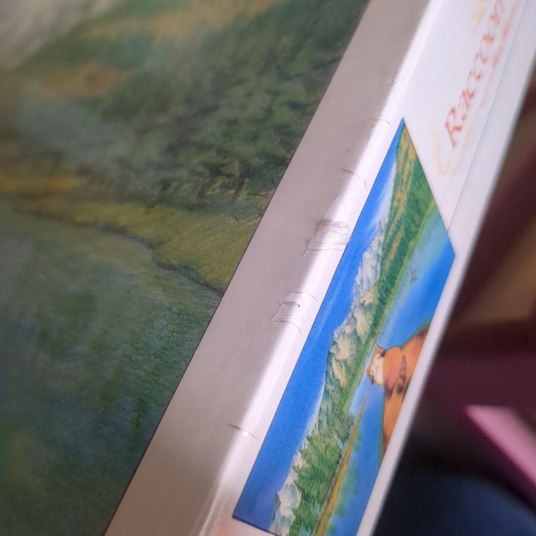 新品未開封 あらいぐまラスカル ジグソーパズル 1000ピース 湖